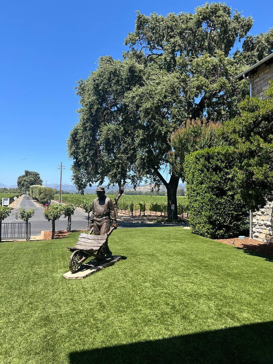 Alexander Valley Cabernet Sauvignon
