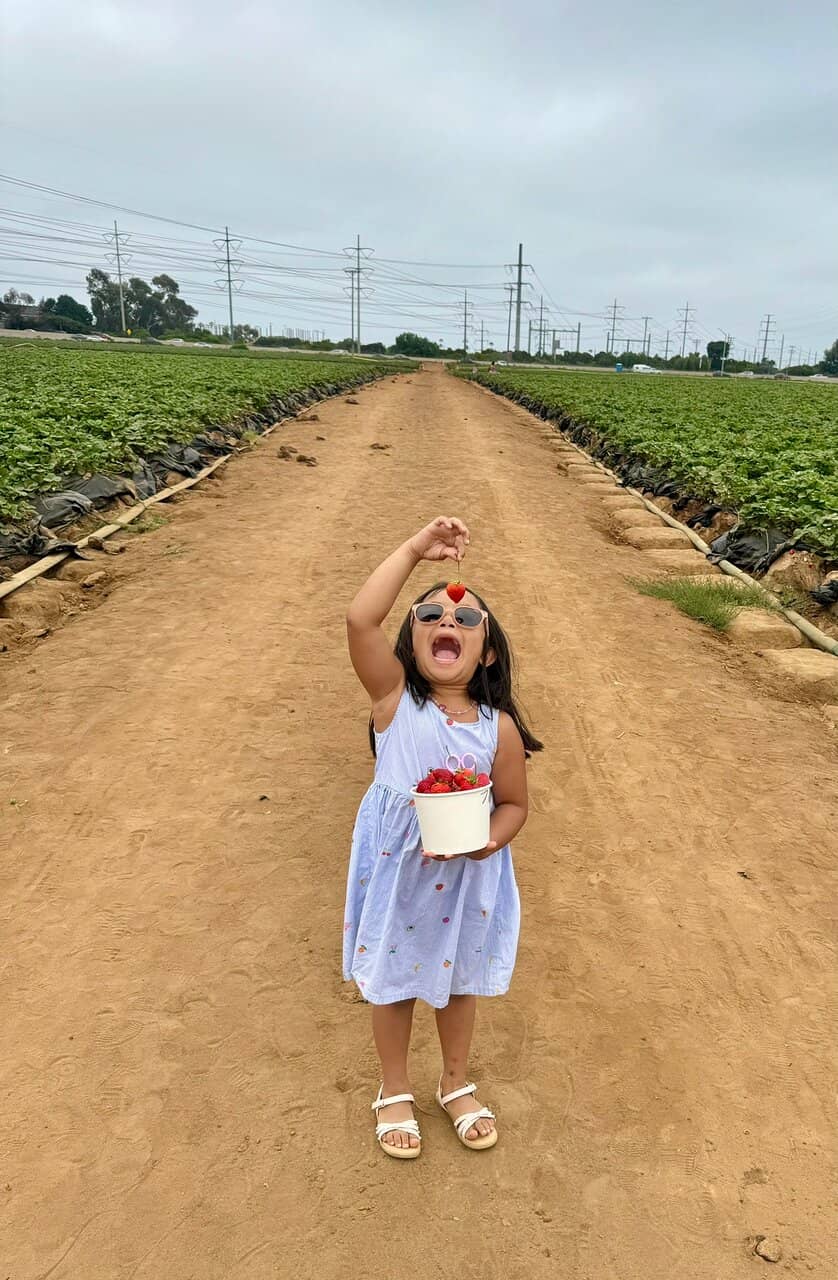 The Strawberry Shack