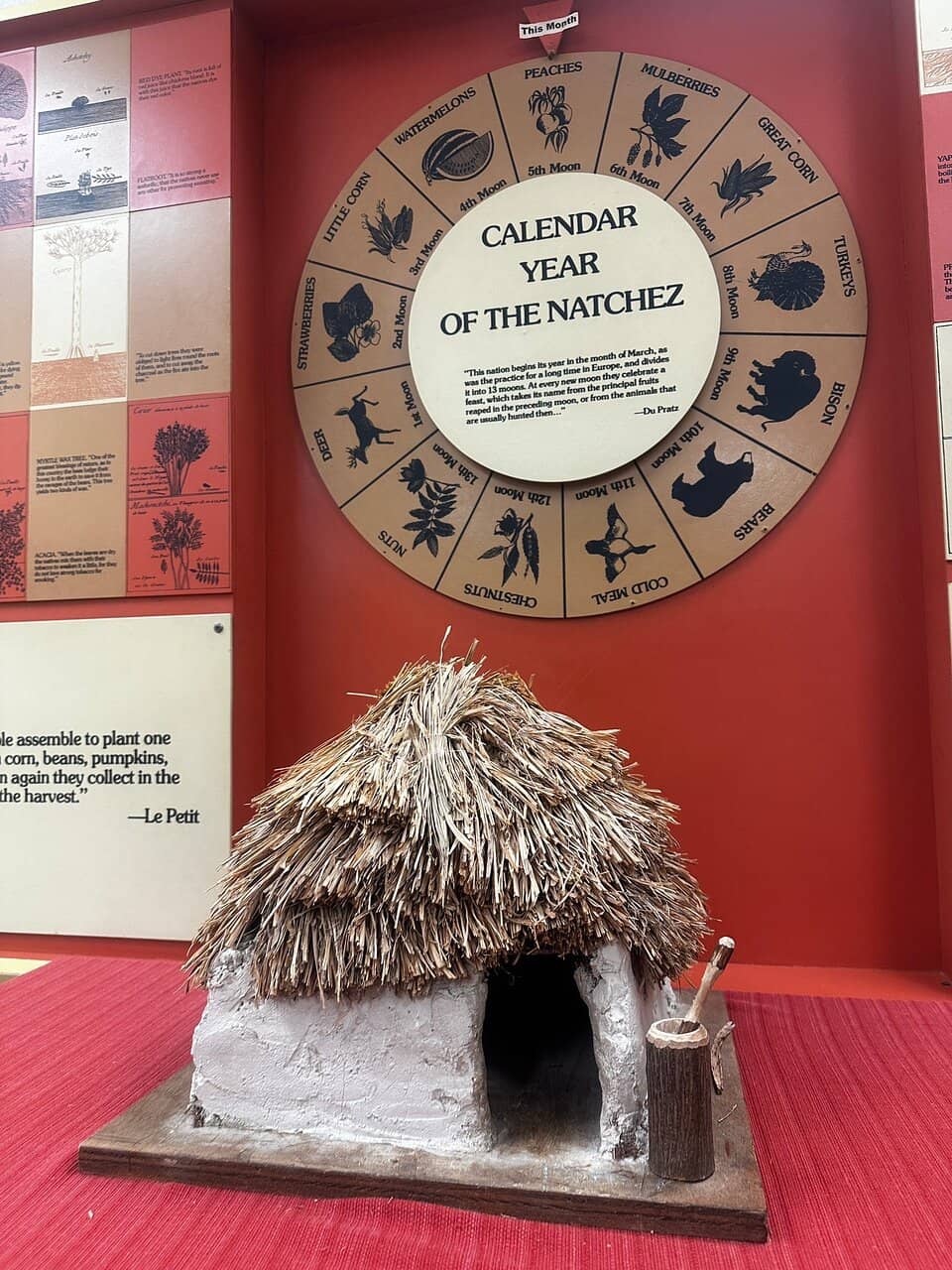 Reconstructed Natchez House