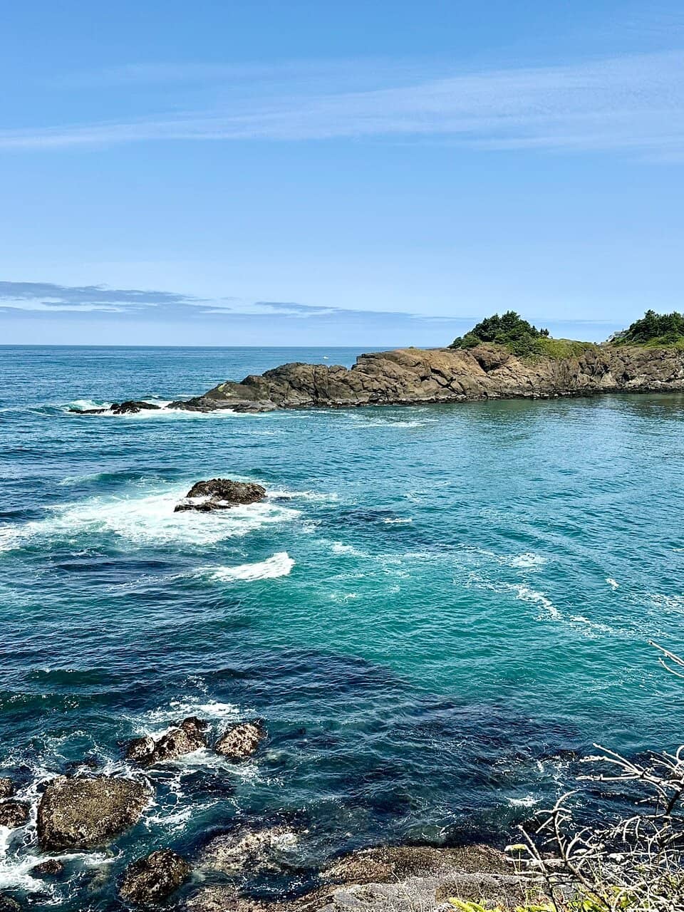 Harbor Seal Sightings