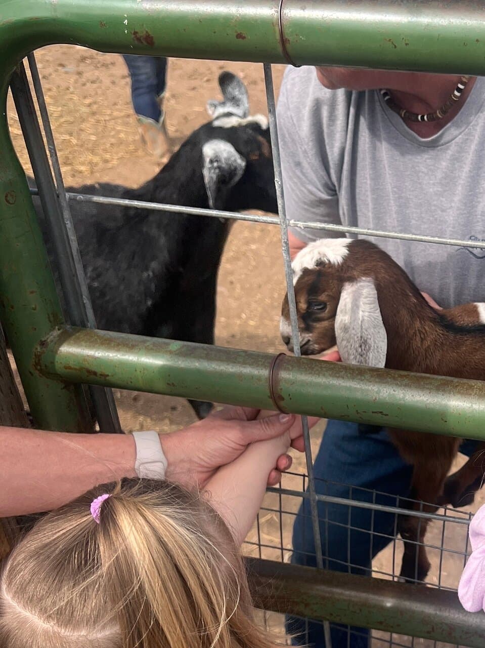 The Farm at Lee Martinez Park
