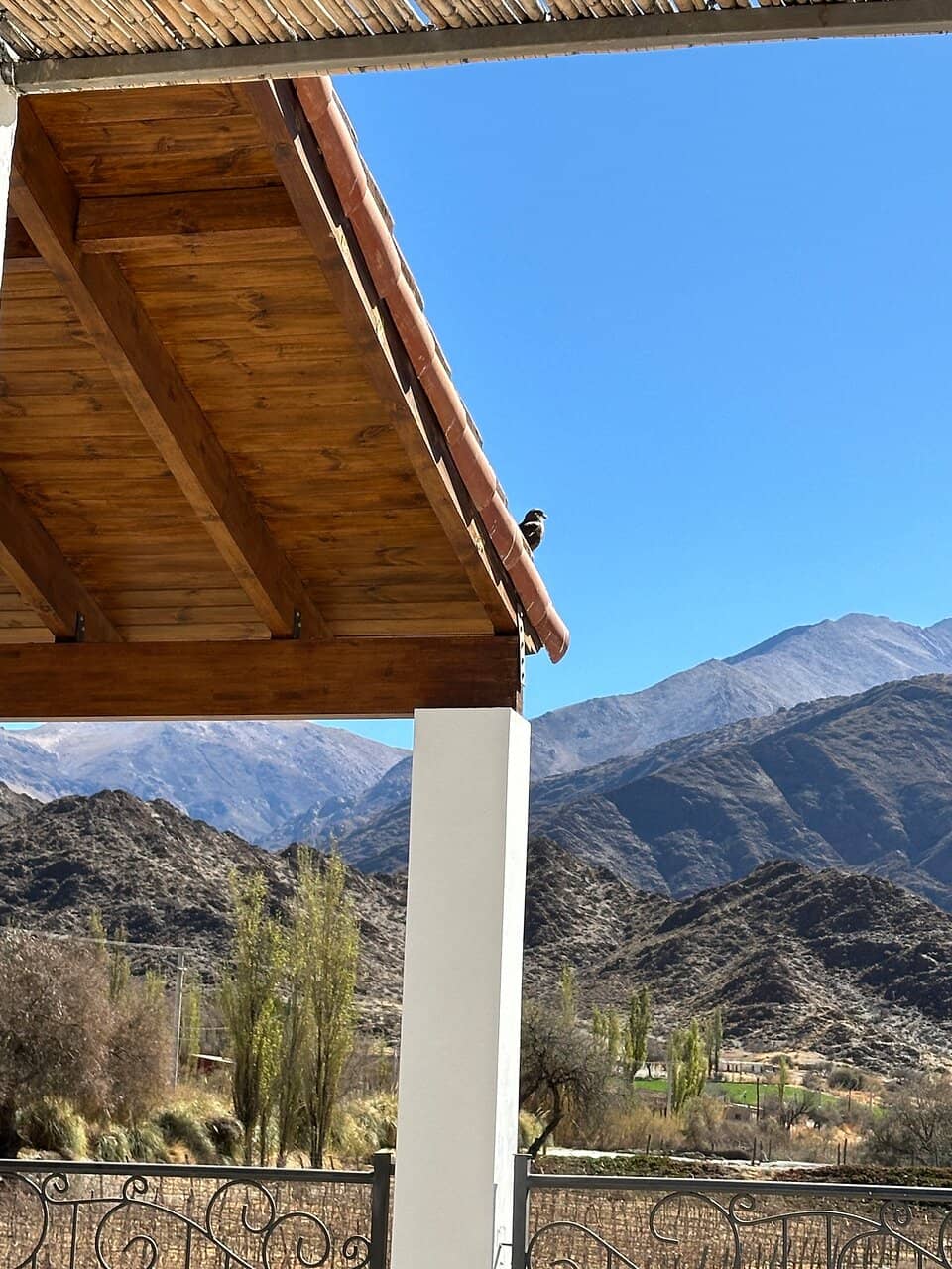 Gourmet Lunch Experience