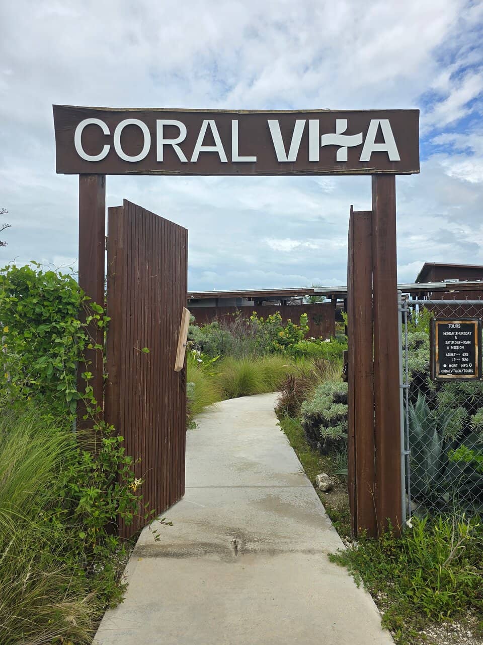 Conch Salad Experience