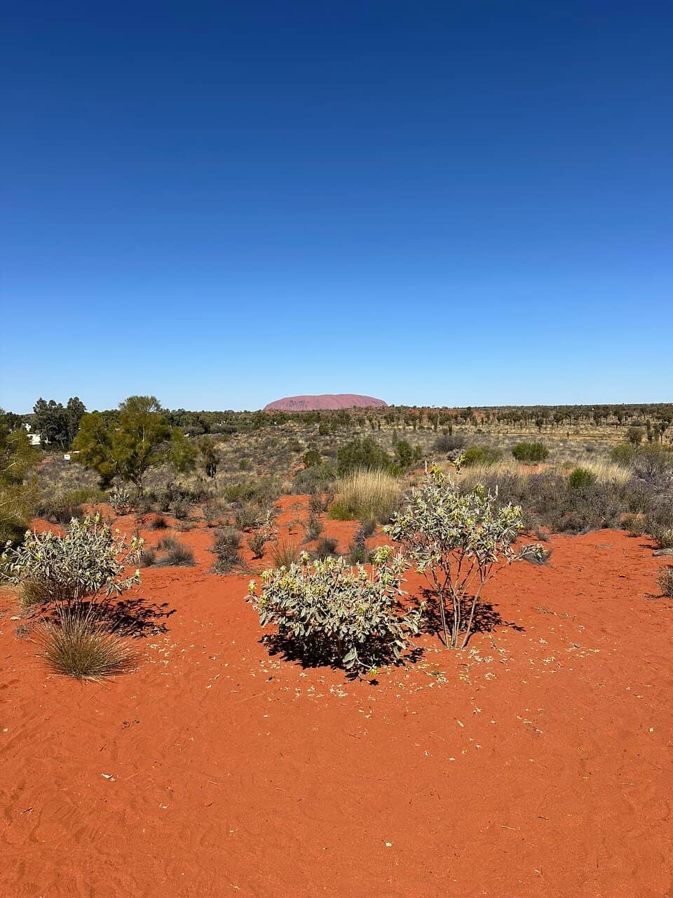 Uluru Sunrise Spectacle