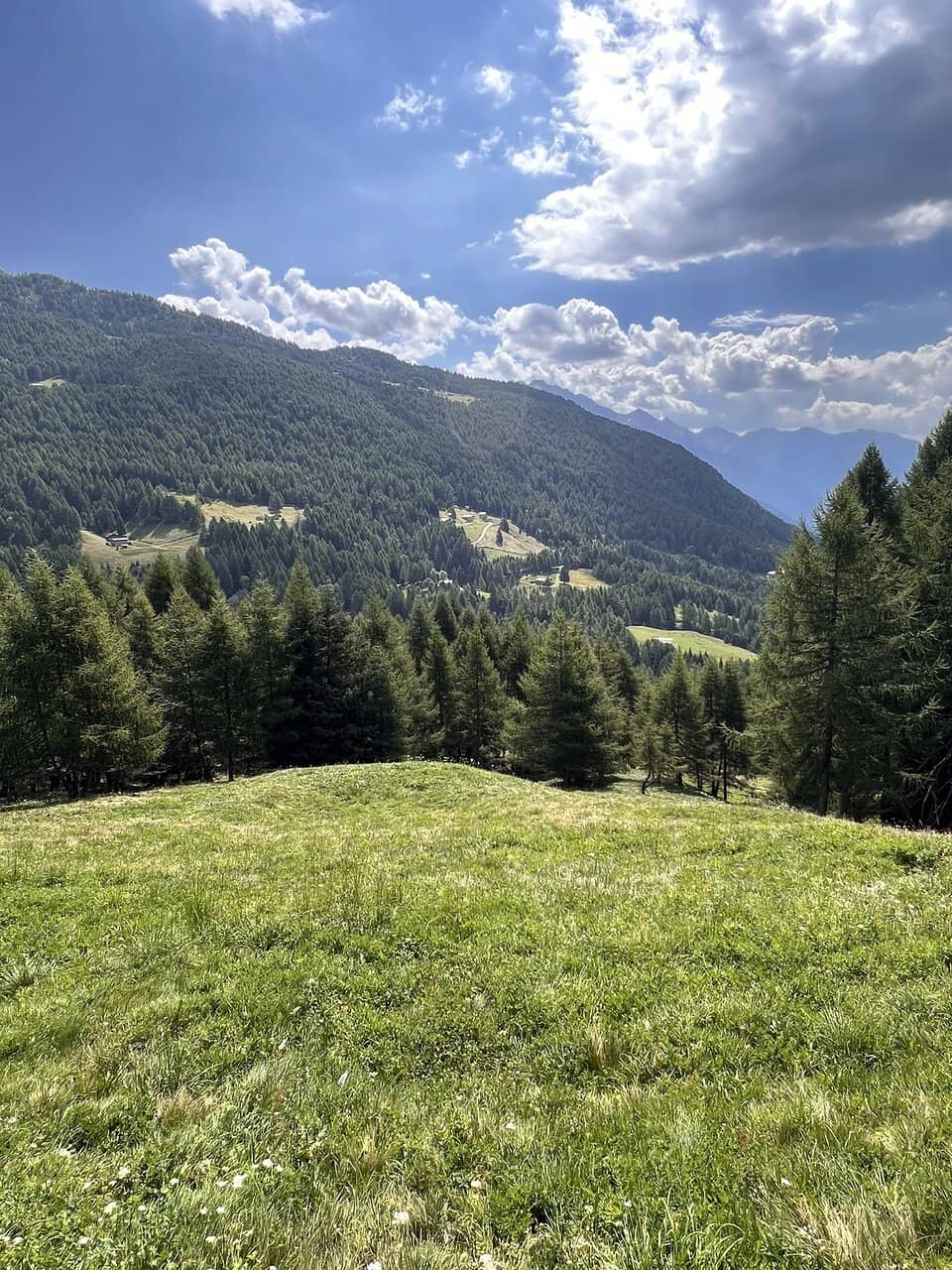 Quiet Countryside Lanes