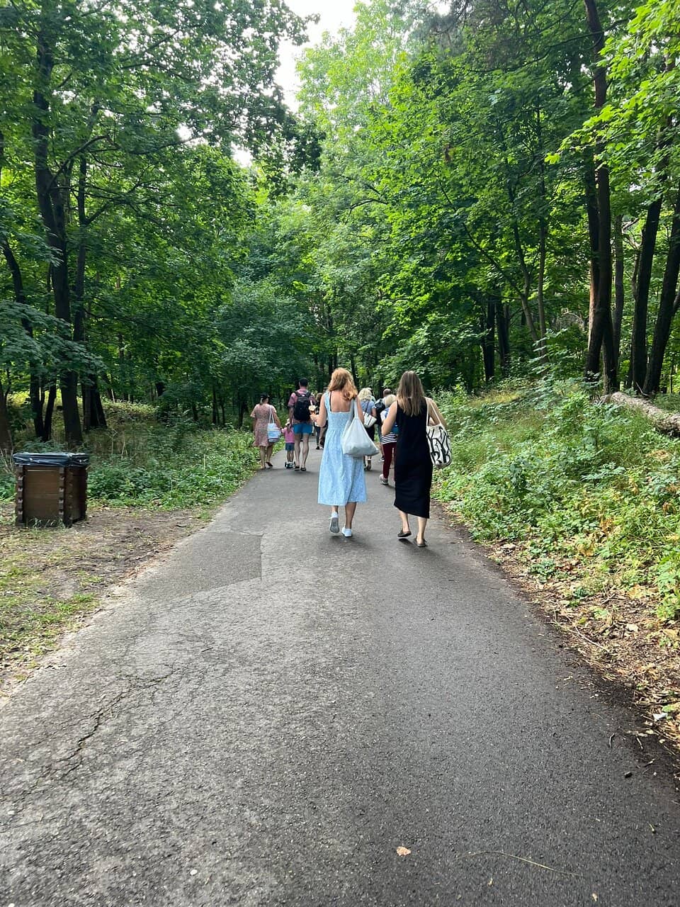 Expansive Sandy Shores