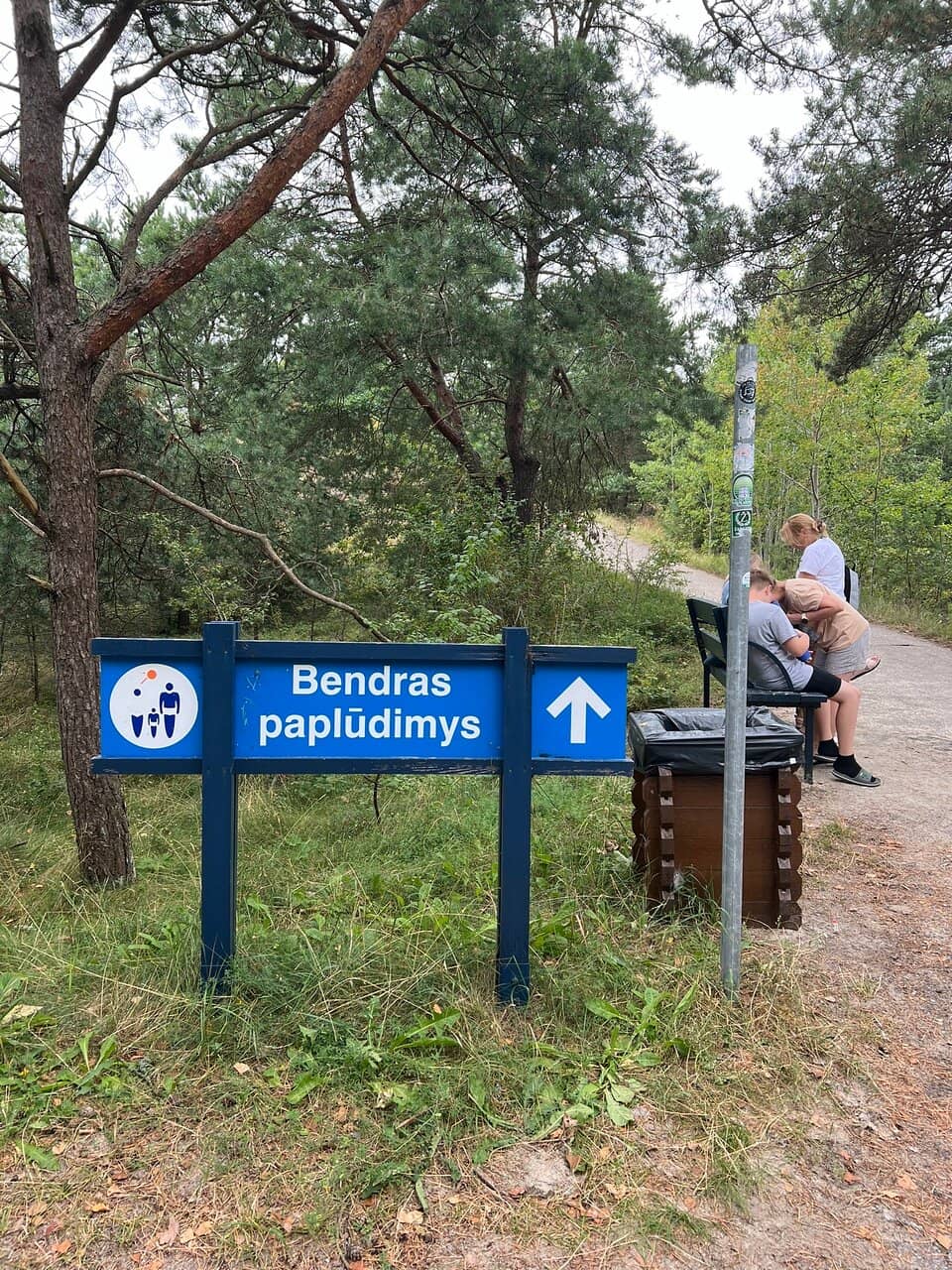 Panoramic Dune Views