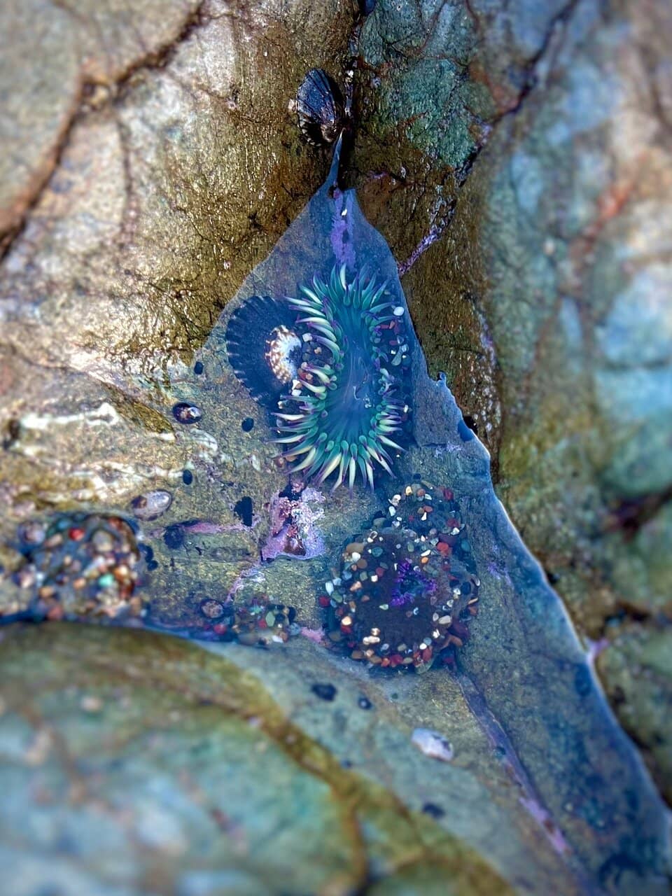 Sea Caves