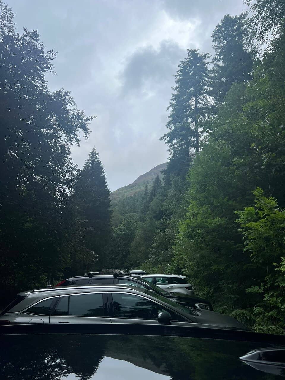 Dodd Summit Views