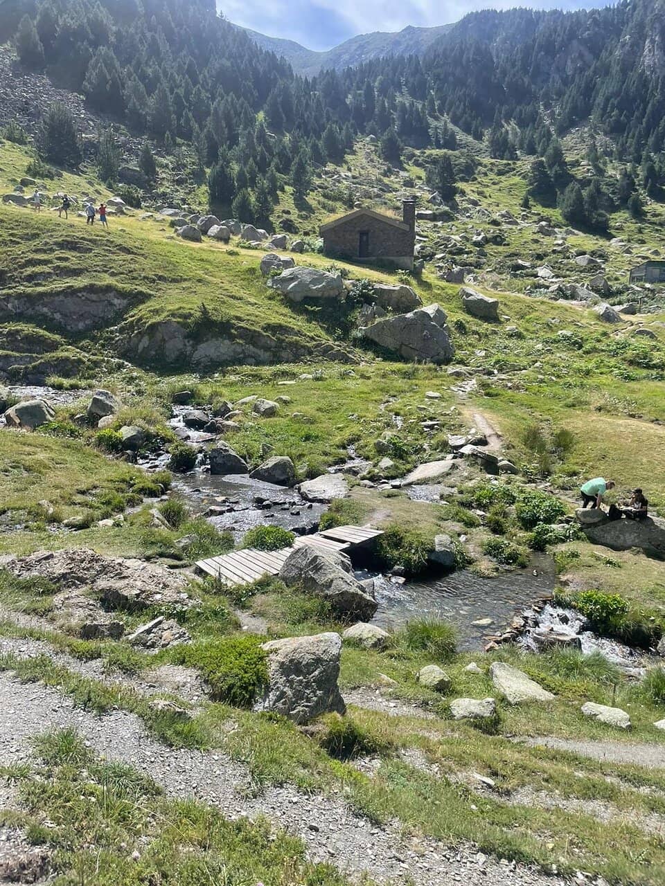 Vertical photo