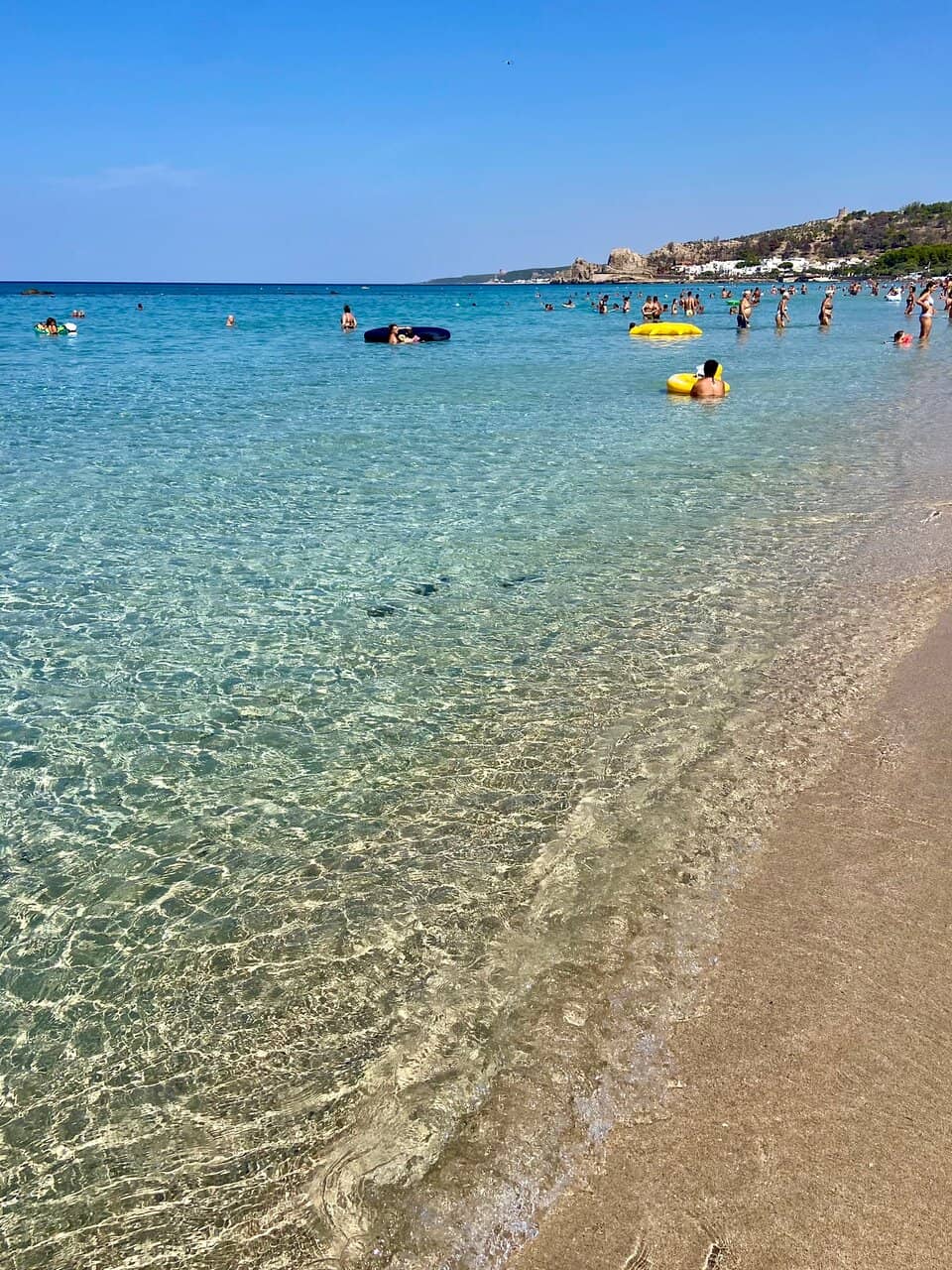 Expansive Sandy Shoreline