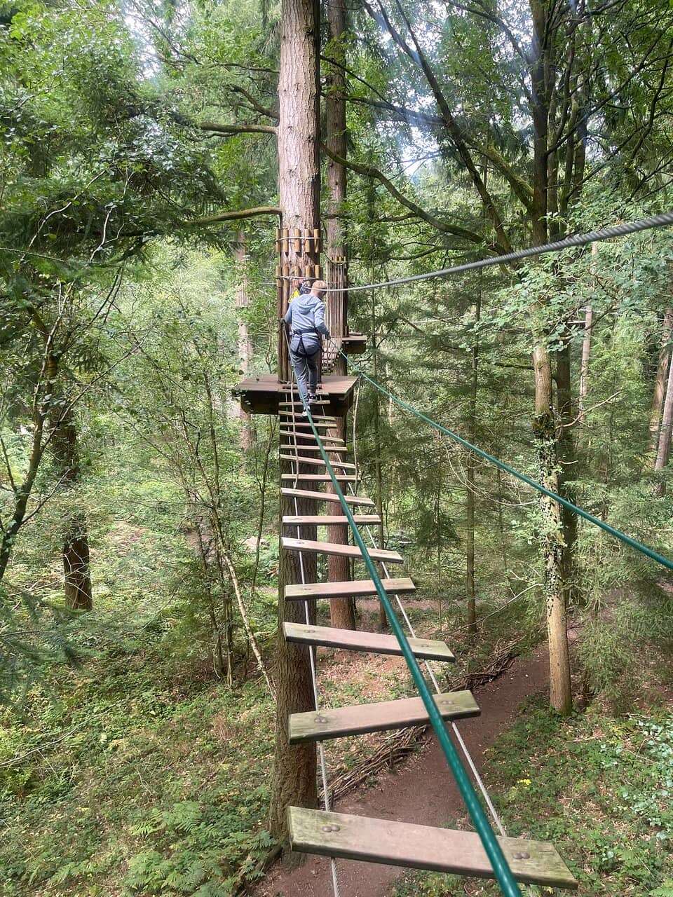 Treetop Challenge