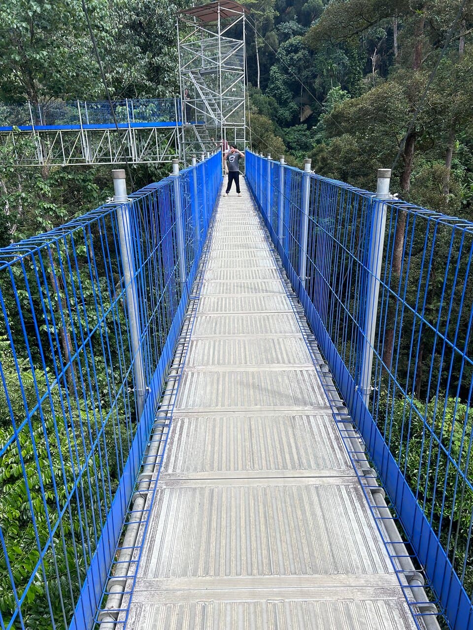 FRIM Forest Skywalk