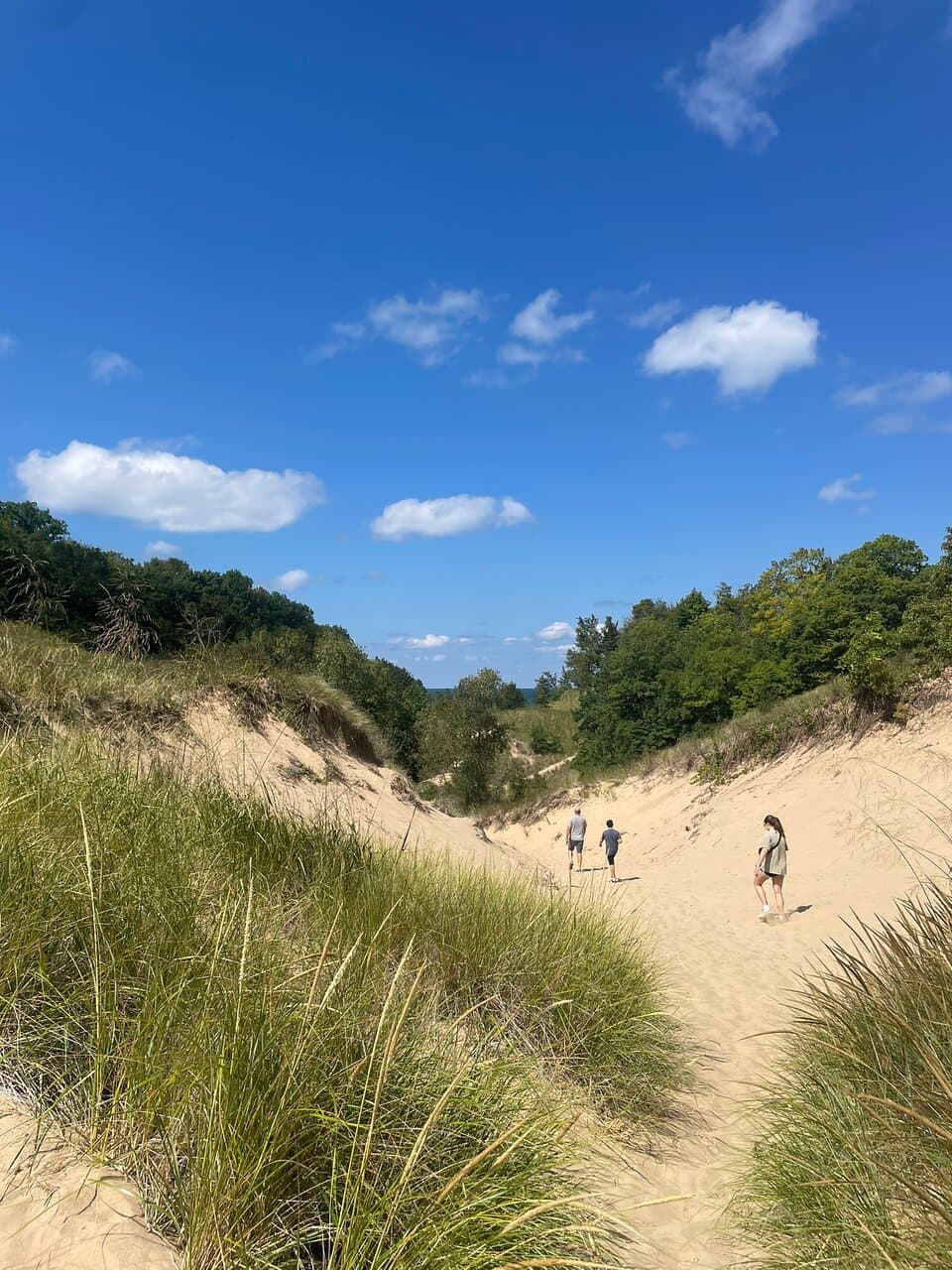 Grand Mere State Park Michigan