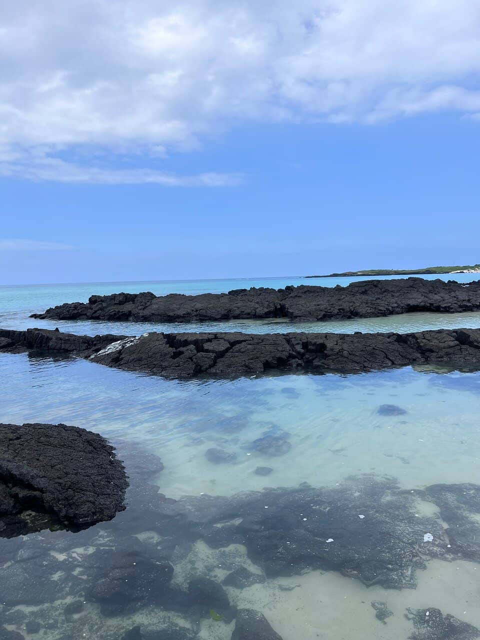 Wind Turbines Backdrop