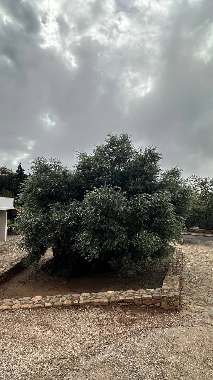 Adjacent Seaside Tavern