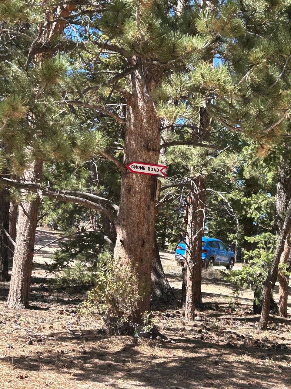 Hematite-Included Quartz