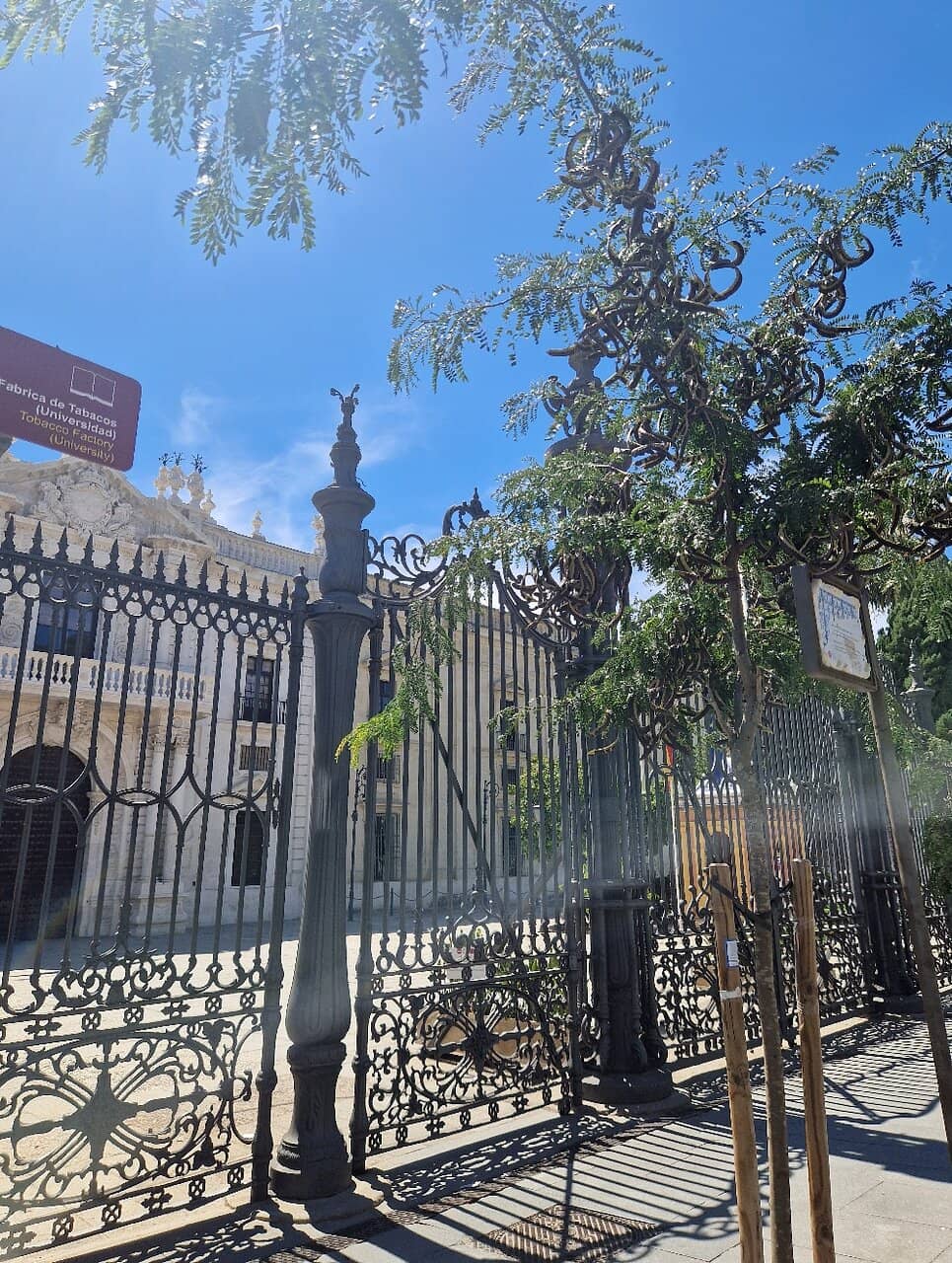 The 'Liaador' Machine