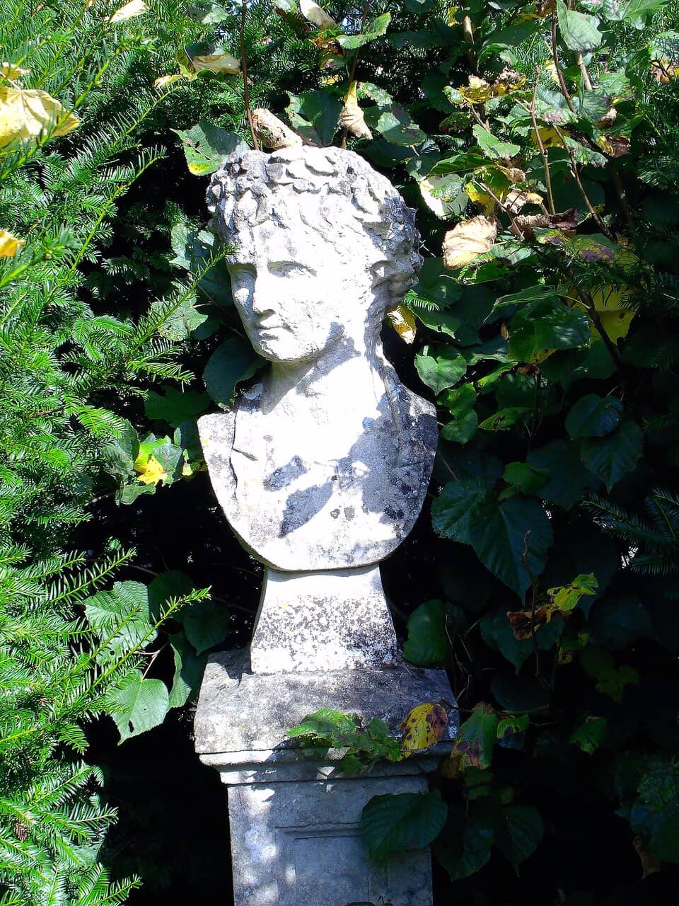 Lily Ponds and Water Features