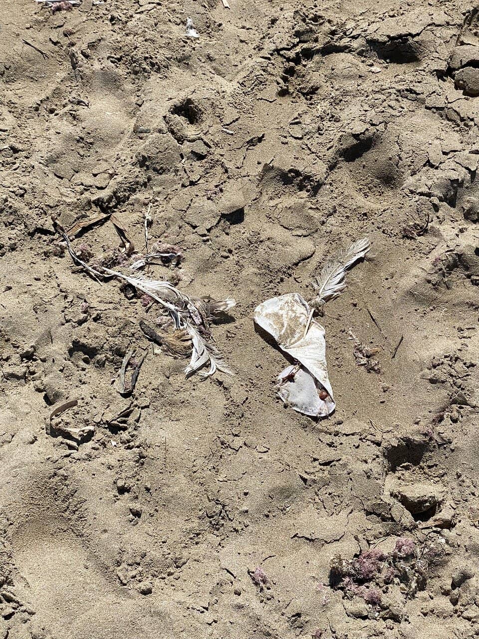 Mirador Badia Viewpoint