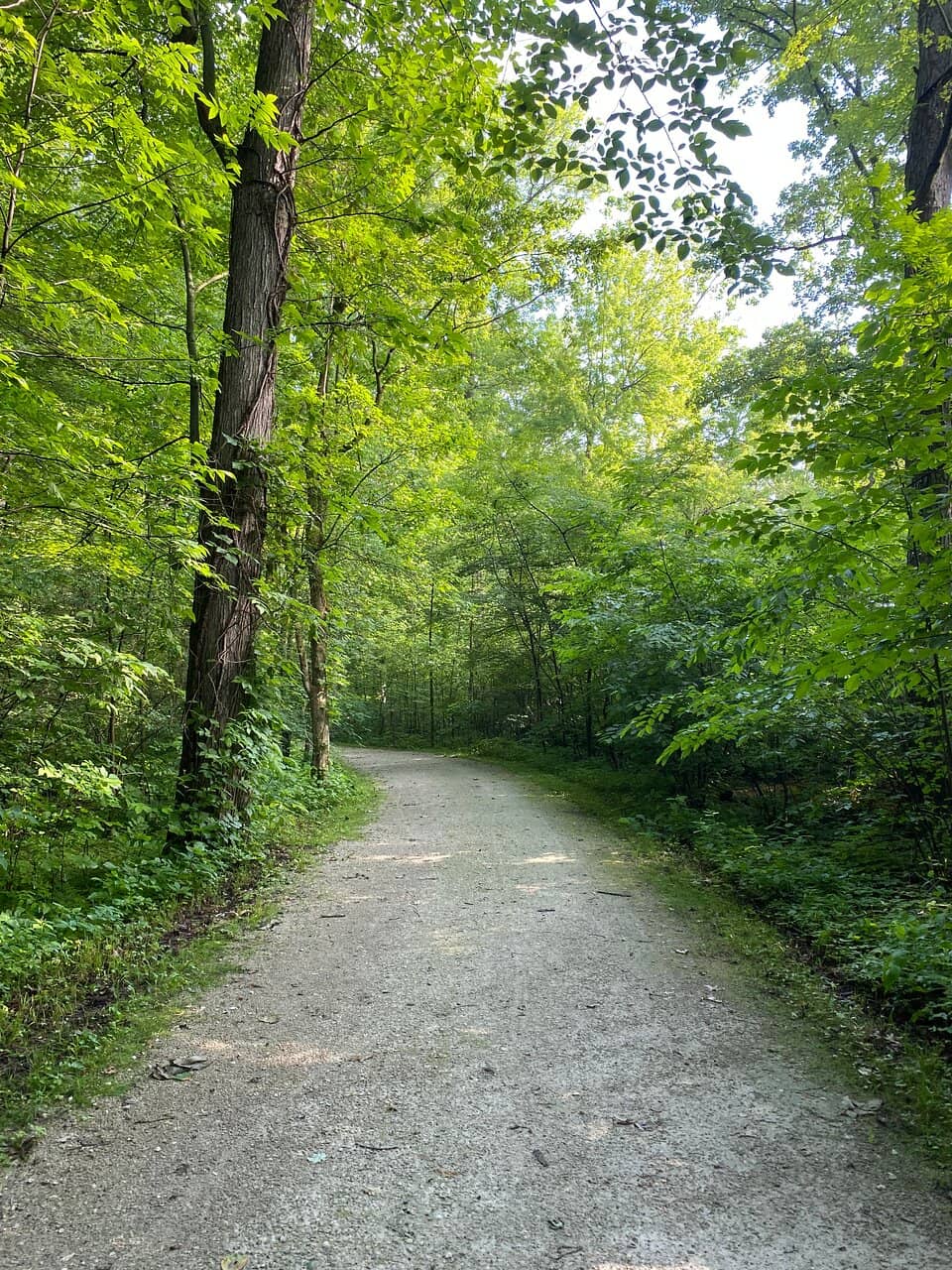 Great Black Swamp Trails