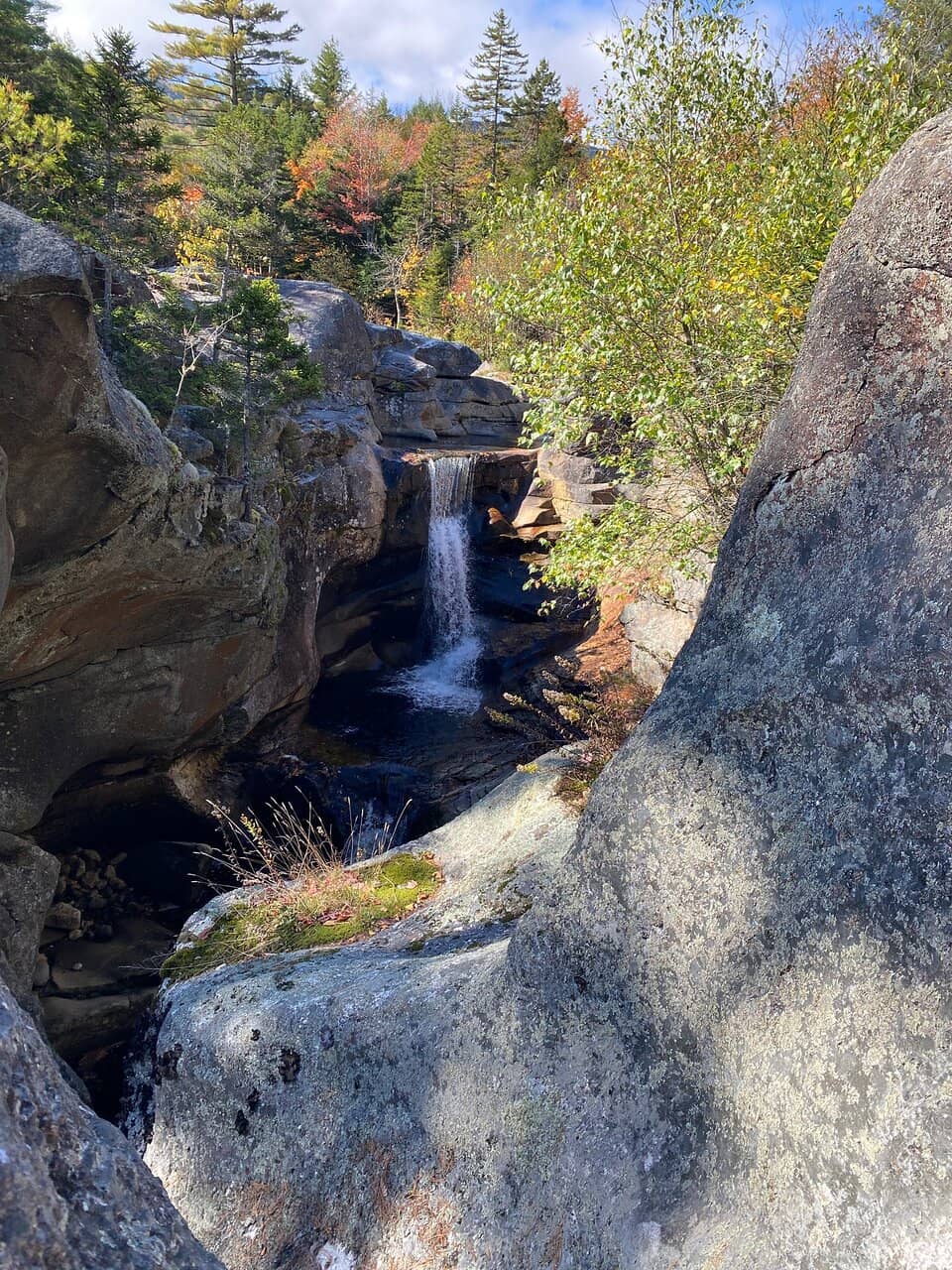 Moose Cave