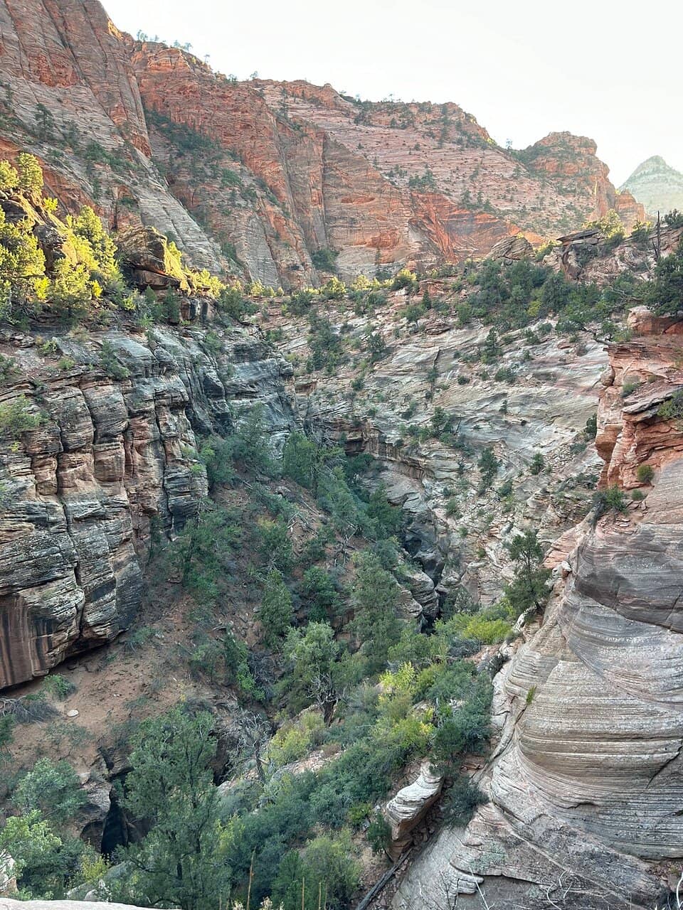 The Riverbed Trail