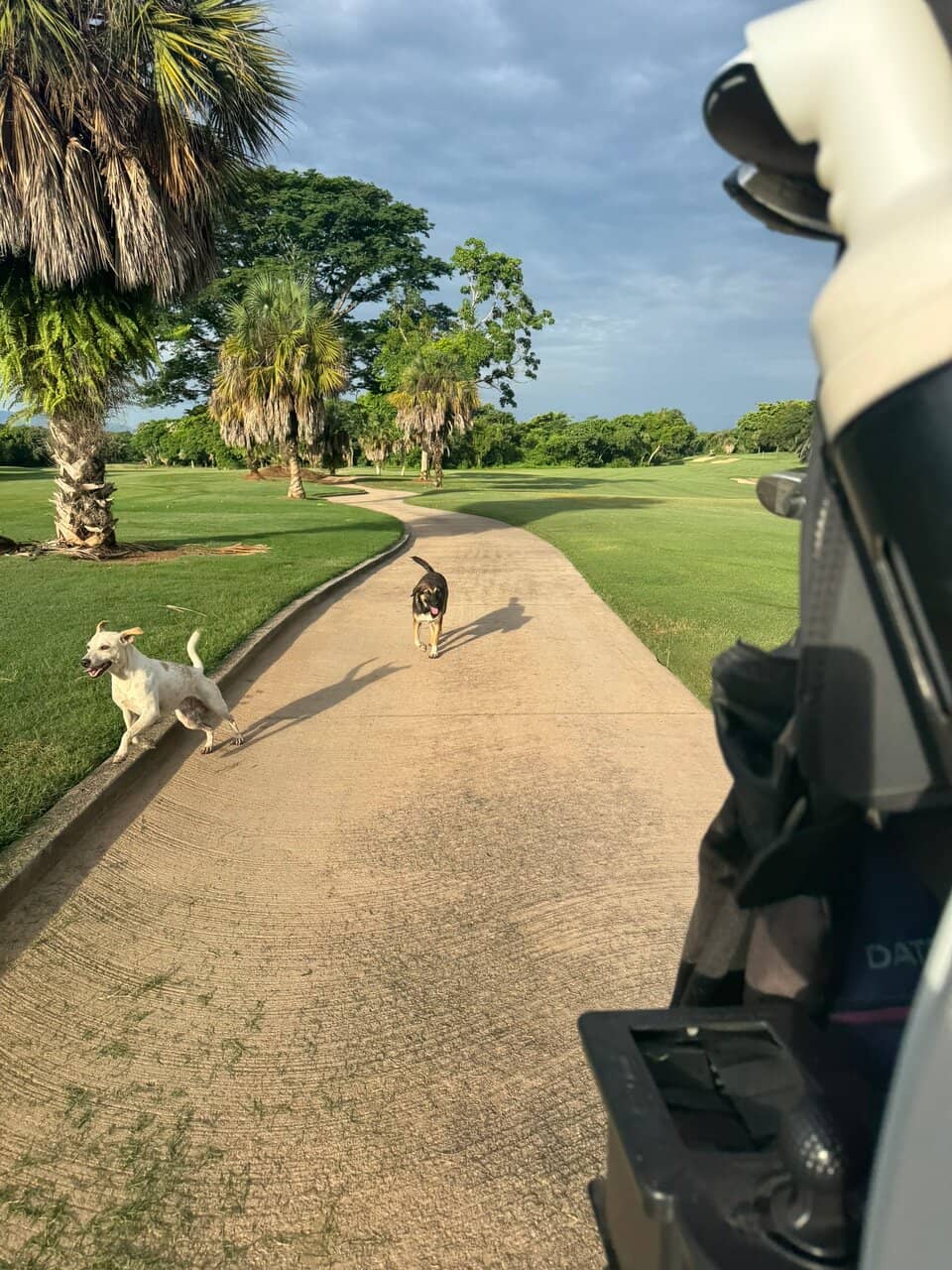 Clubhouse Views & Dining