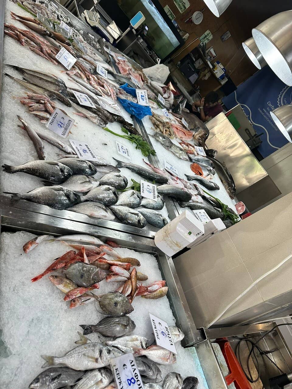 Old Town Exploration