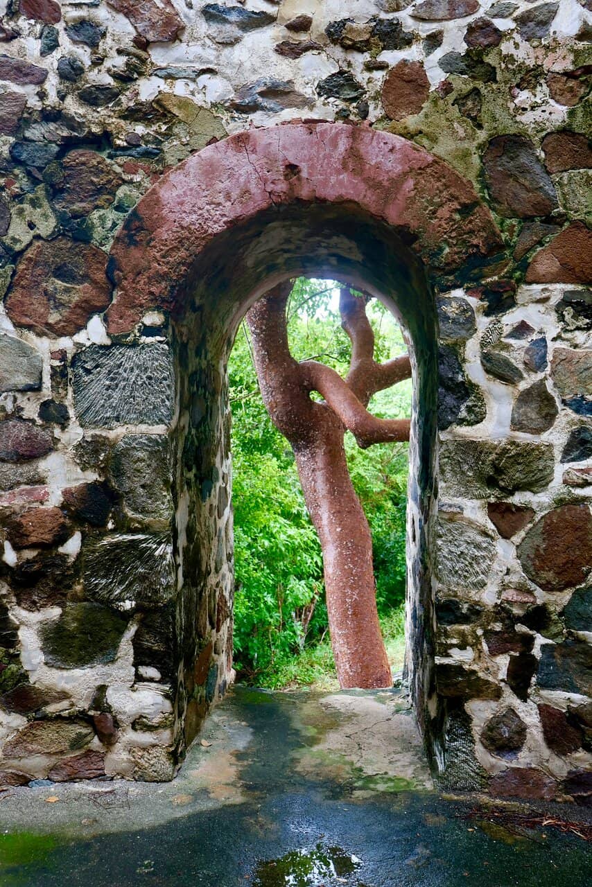 Serene Musical Ambiance