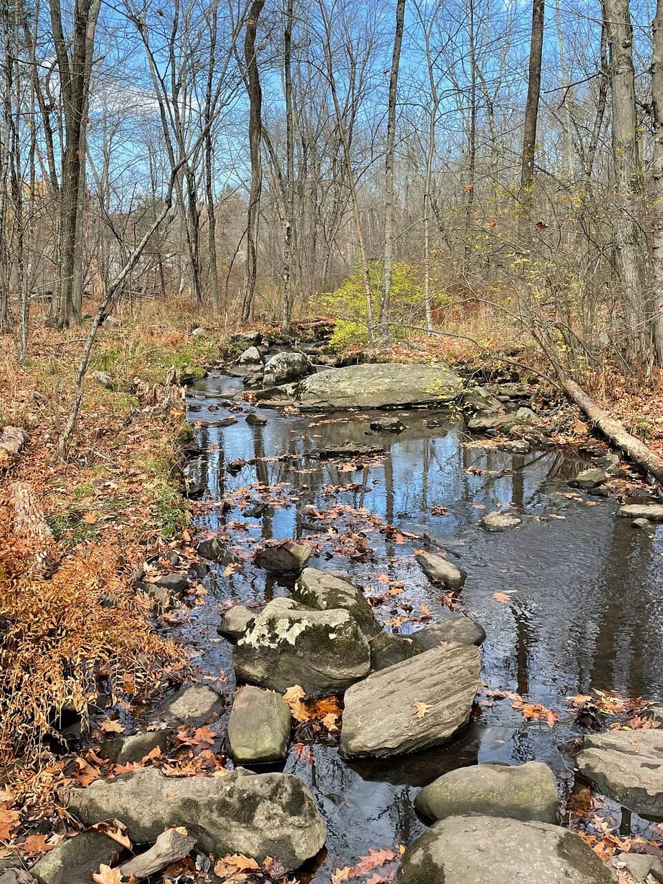 Vertical photo