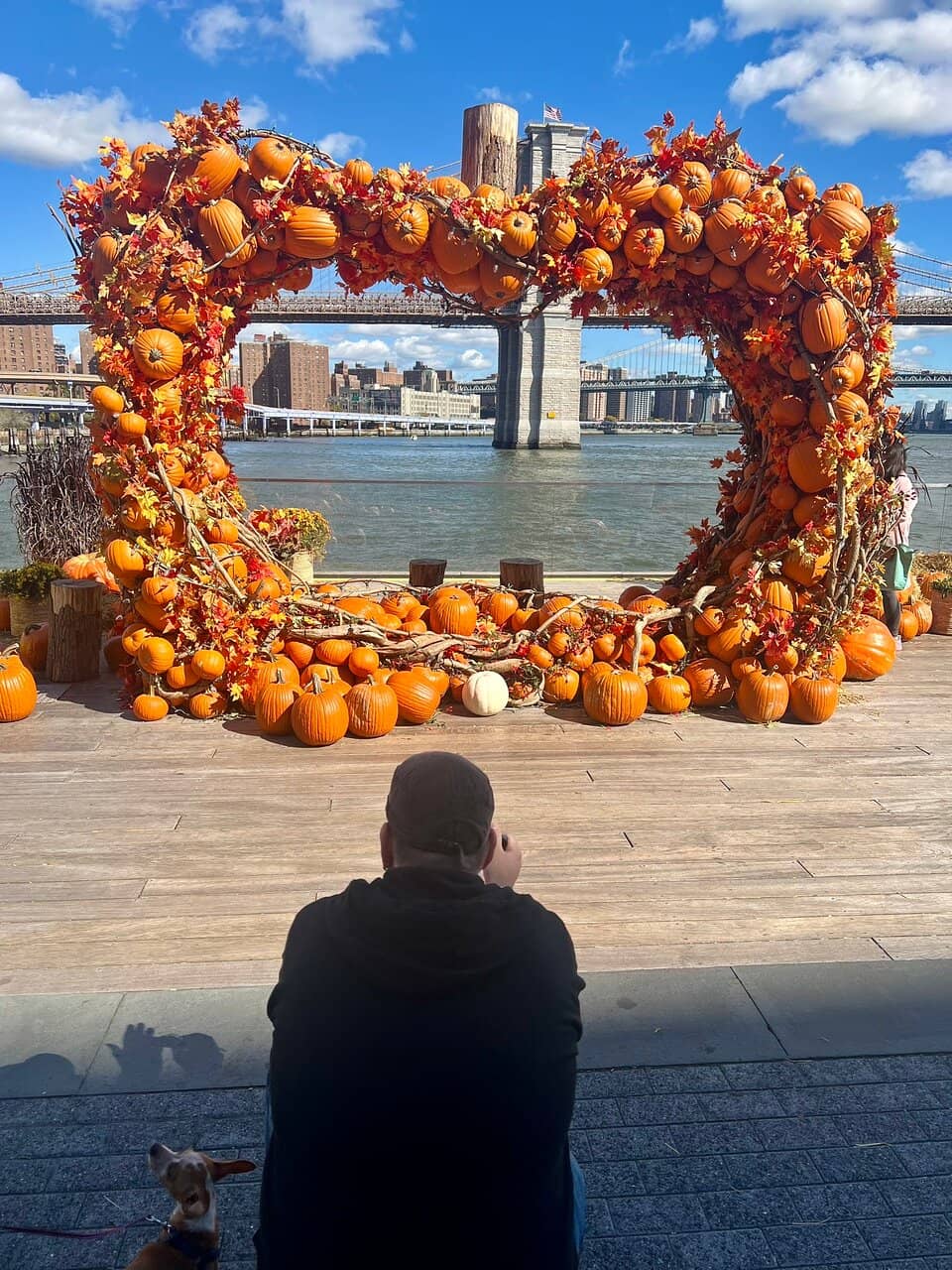 Charming Apartment Living