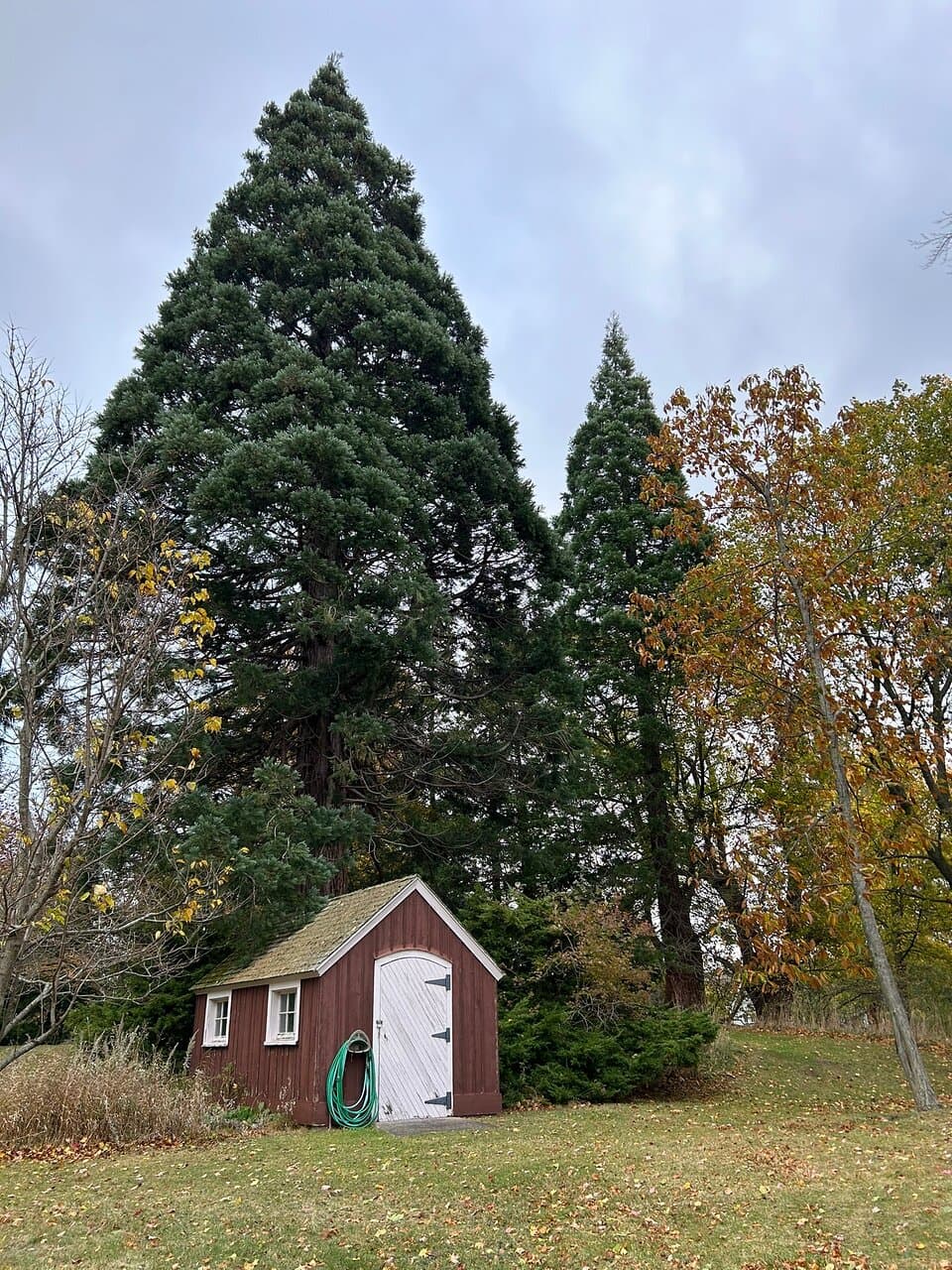 Lake Bluff Bird Sanctuary