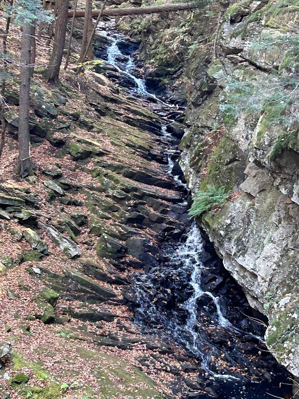 Vertical photo