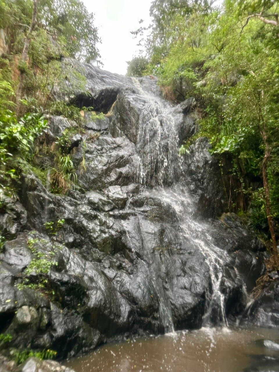 Reef Bay Trail St John