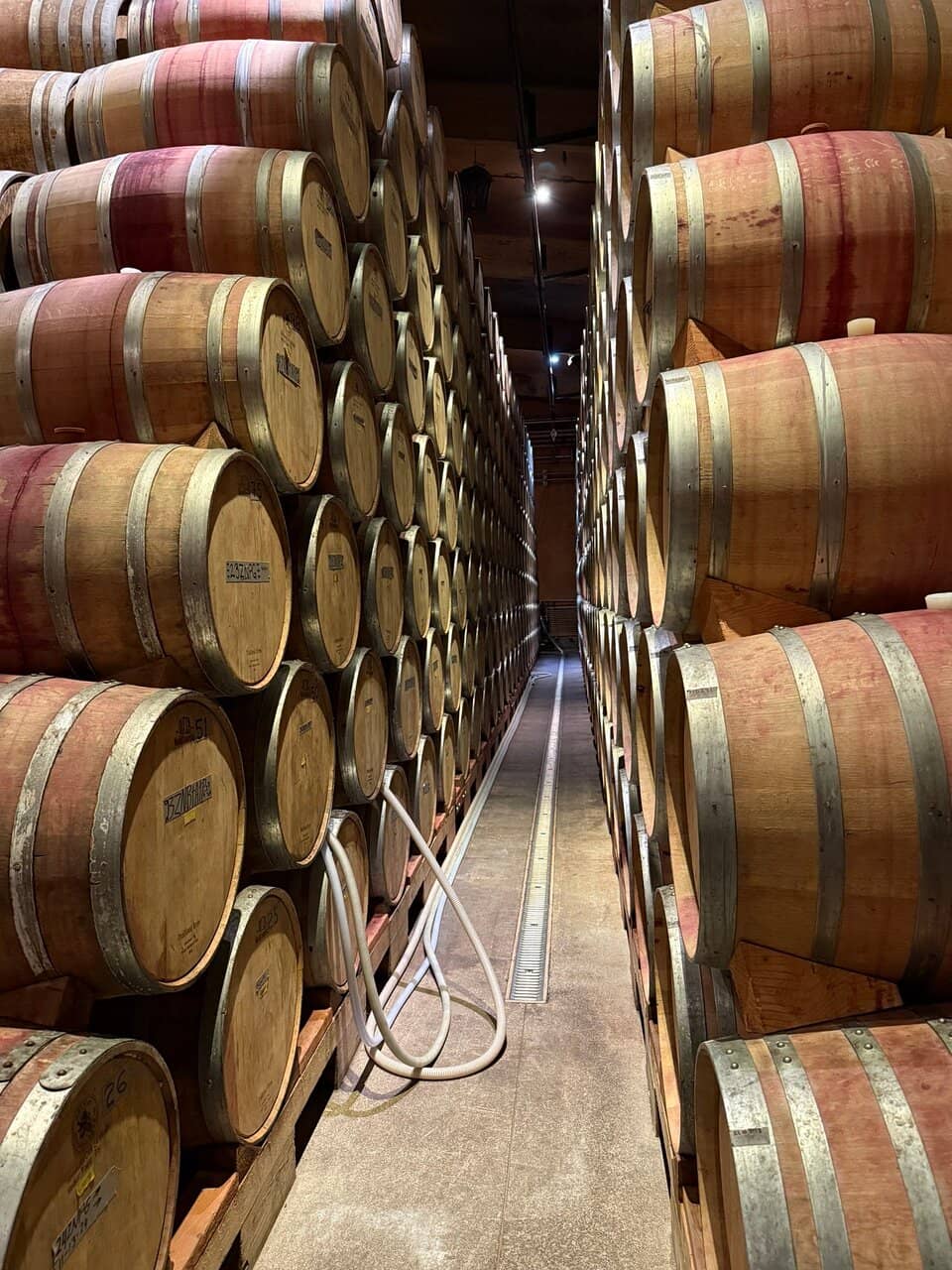 Lytton Springs Zinfandel Tasting