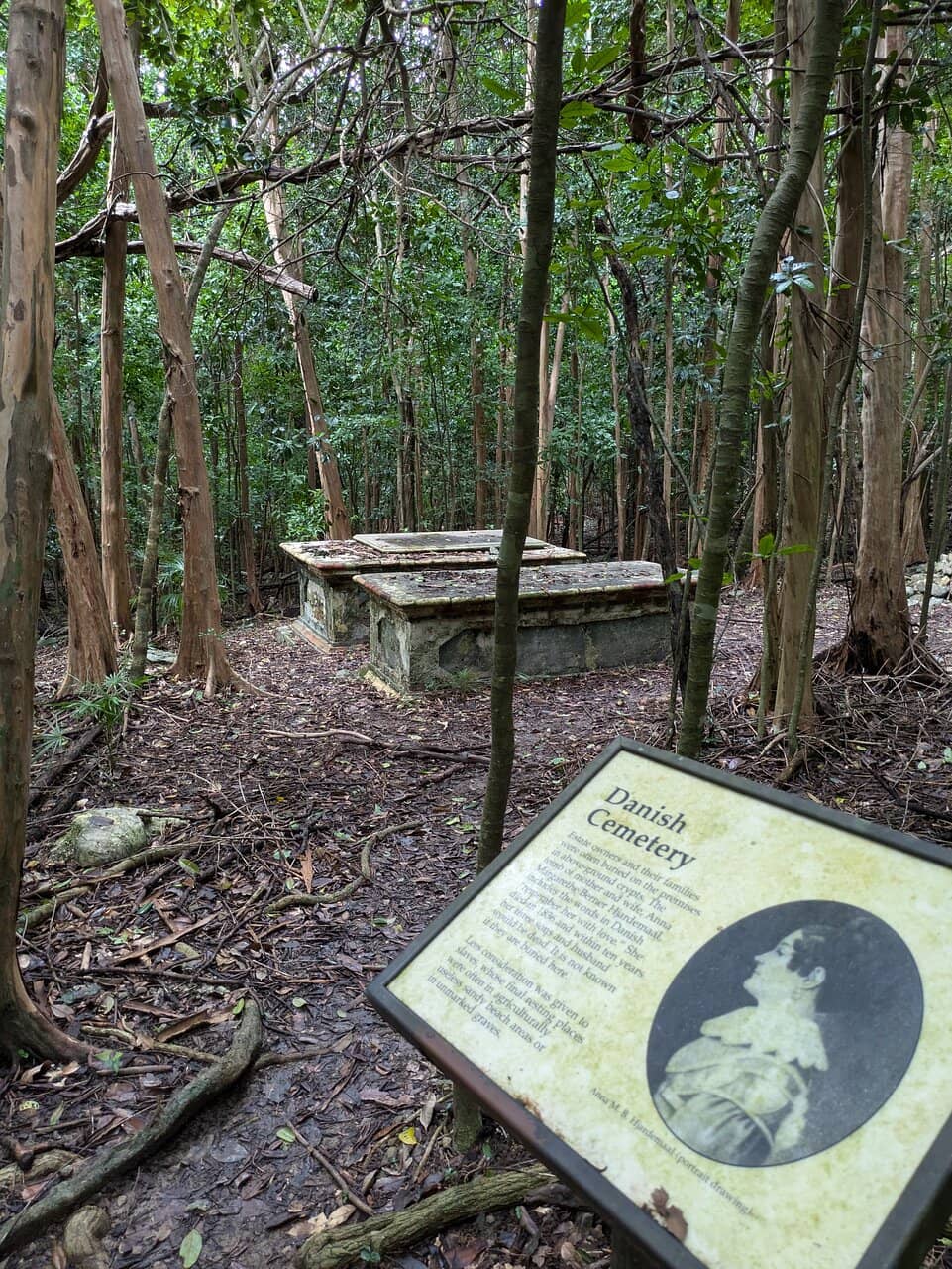 America Hill Great House Ruins