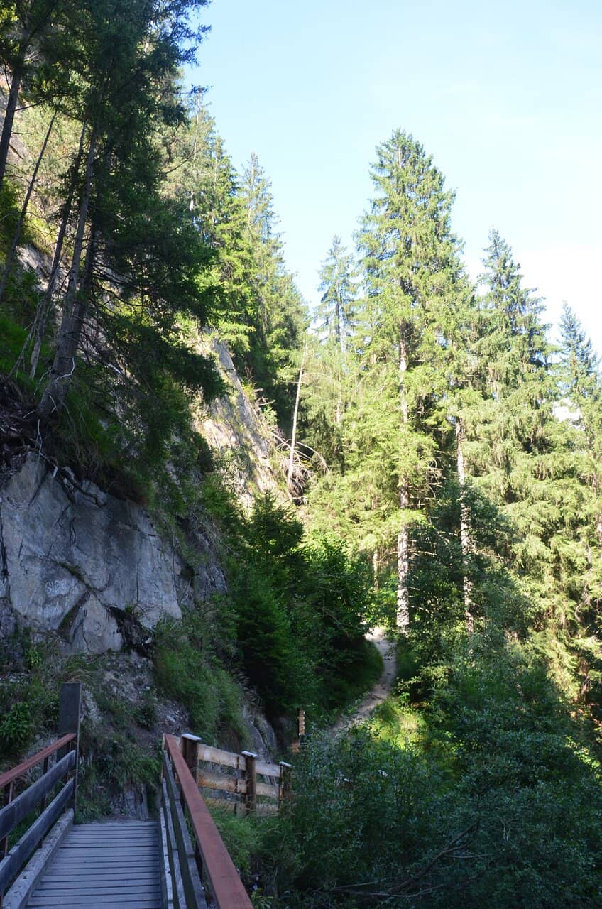 Scenic Trekking Path