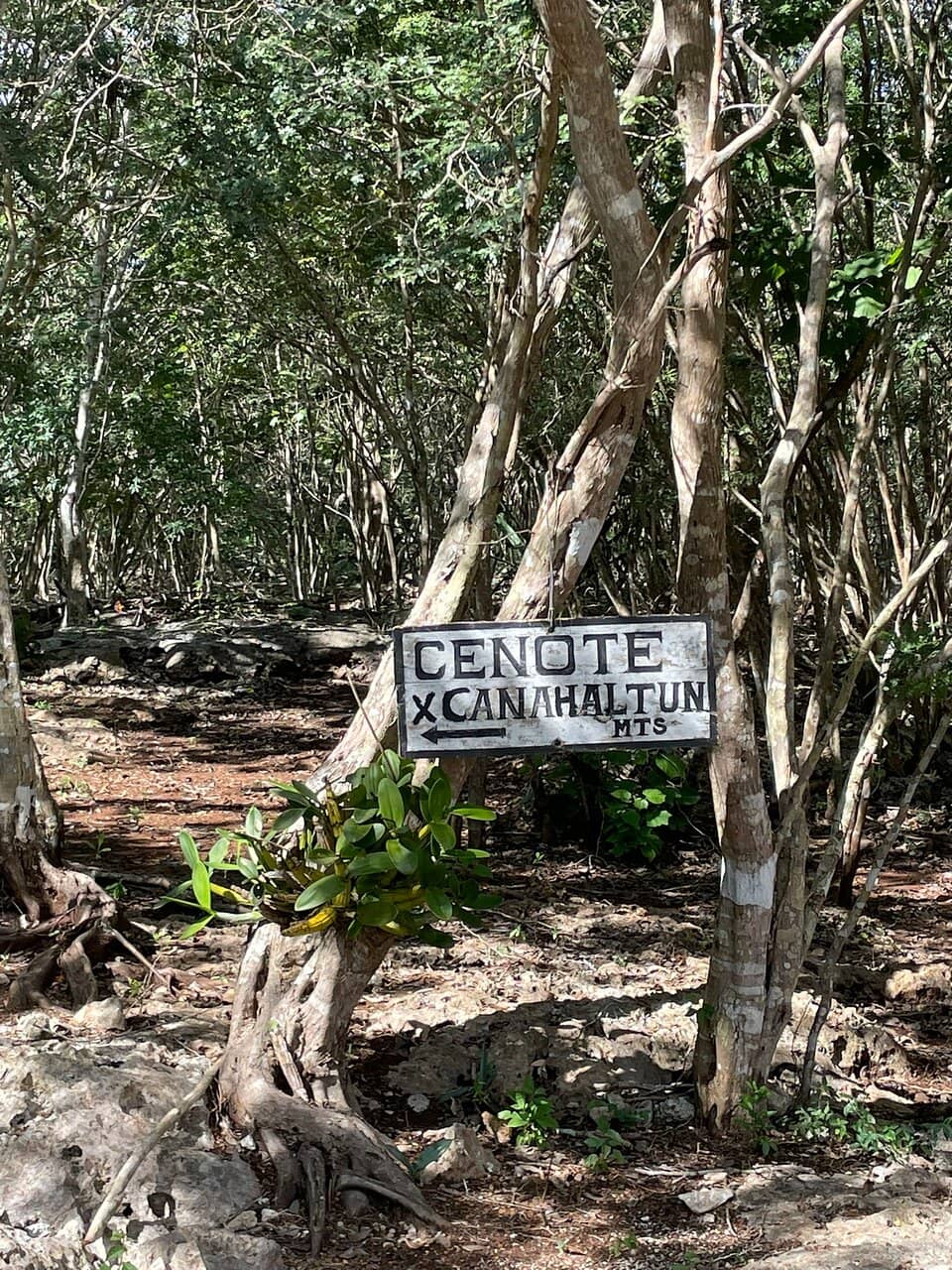 Natural Amphitheater