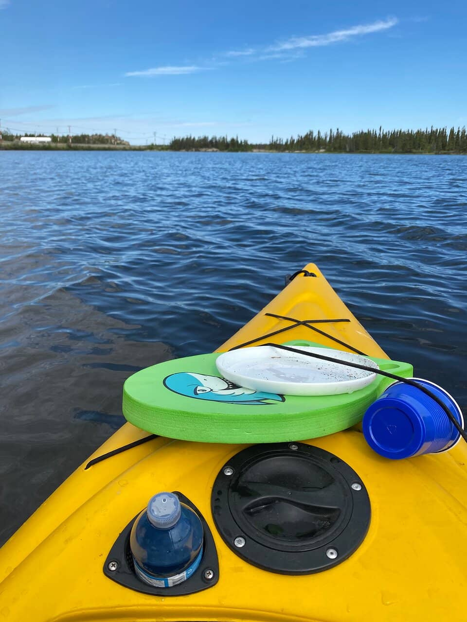 Summer Beach Fun
