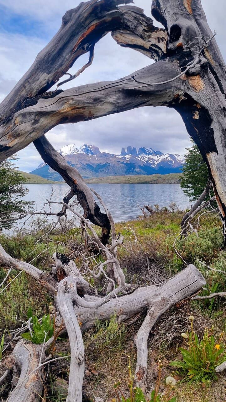 Amazonian Adventure Hub