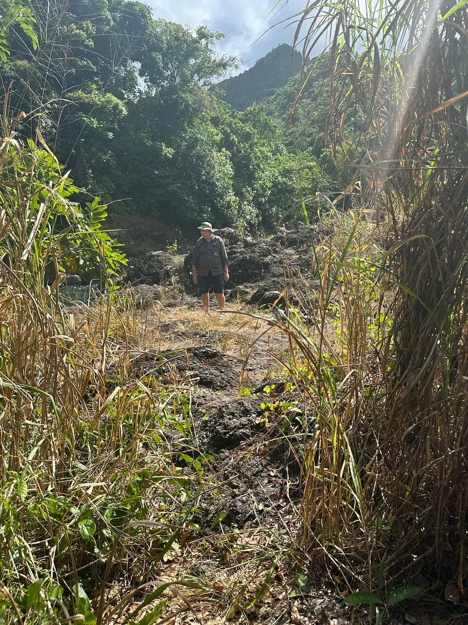 Torre de Toro Negro Observation Tower