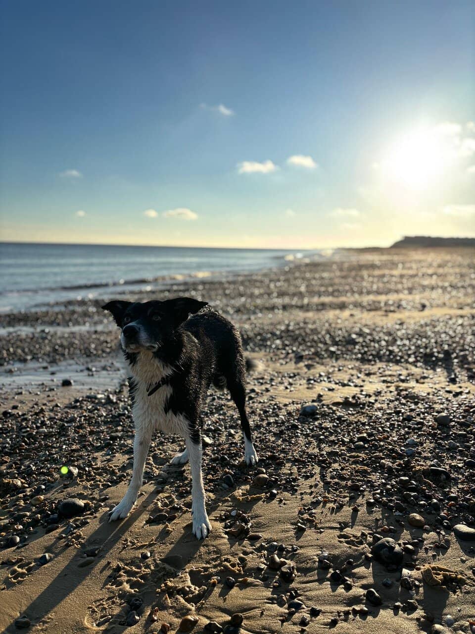 Ancient Church Ruins