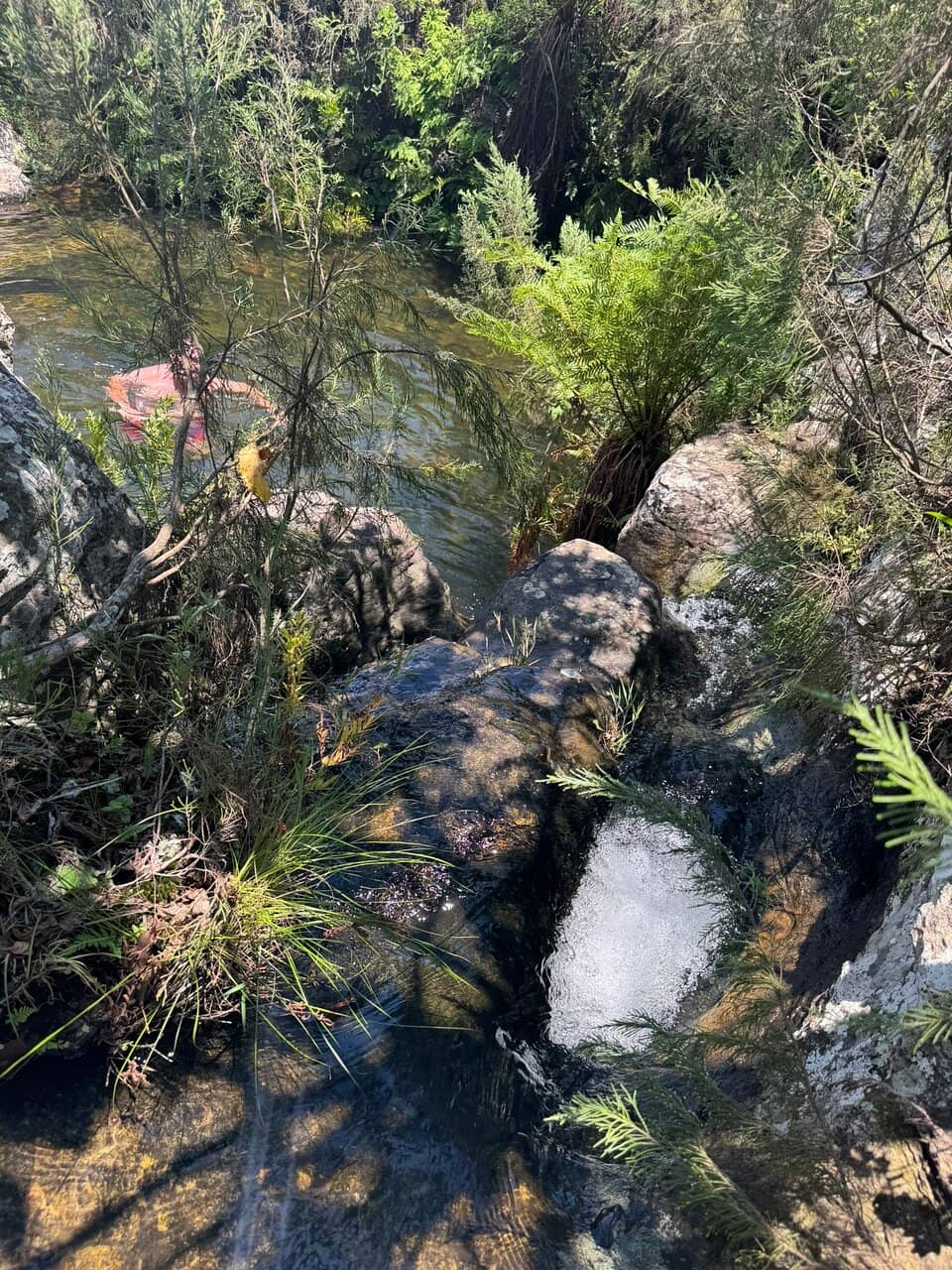 Refreshing Natural Pools