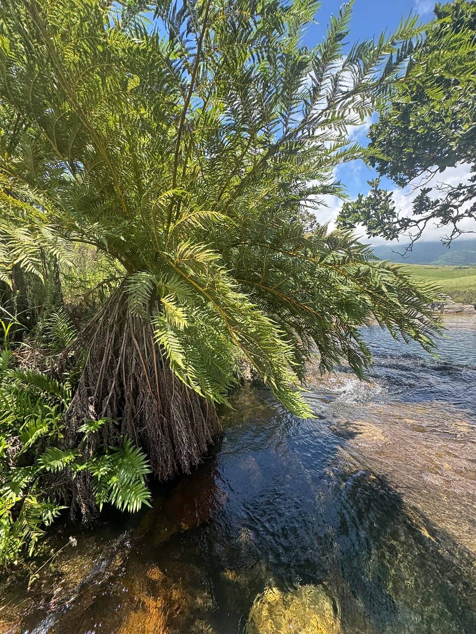 Rock Hopping Adventure