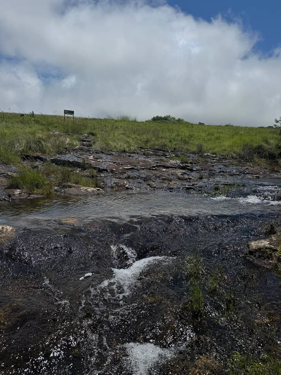 Tranquil Riverside Ambiance