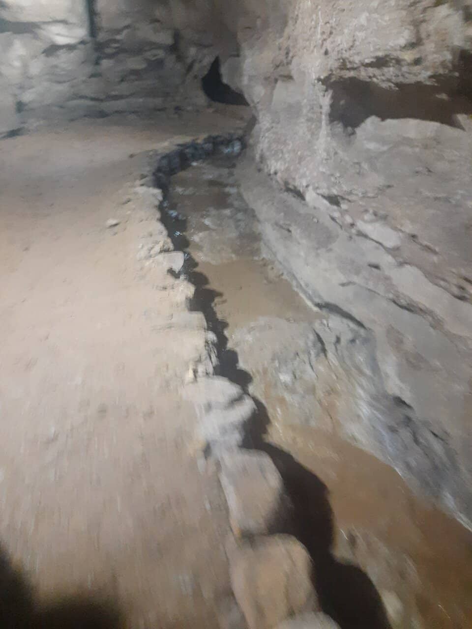 Fossil-Rich Limestone Walls