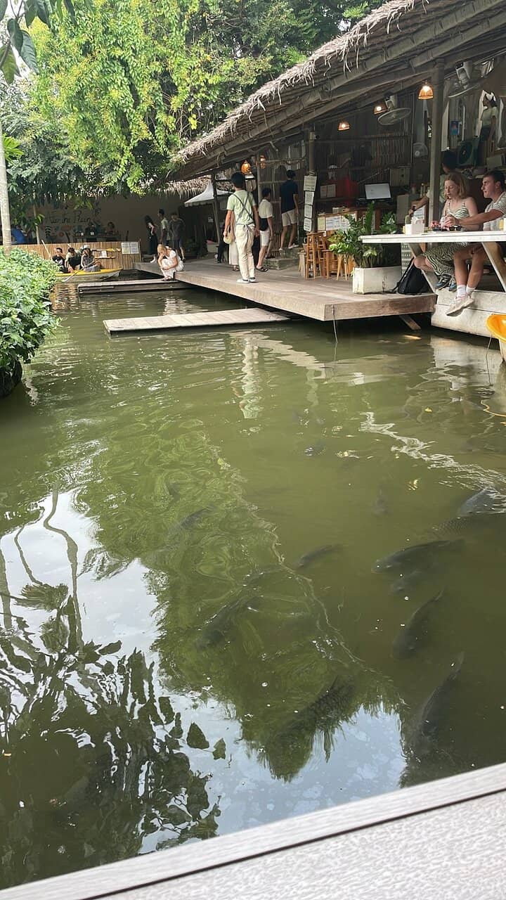 Aesthetic Photo Opportunities