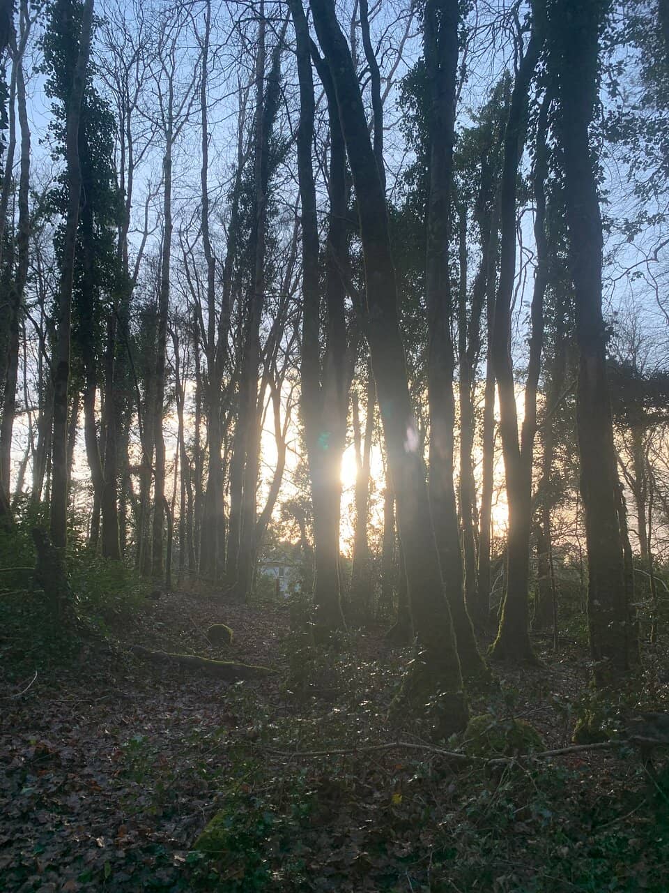 Monk's Fishing House