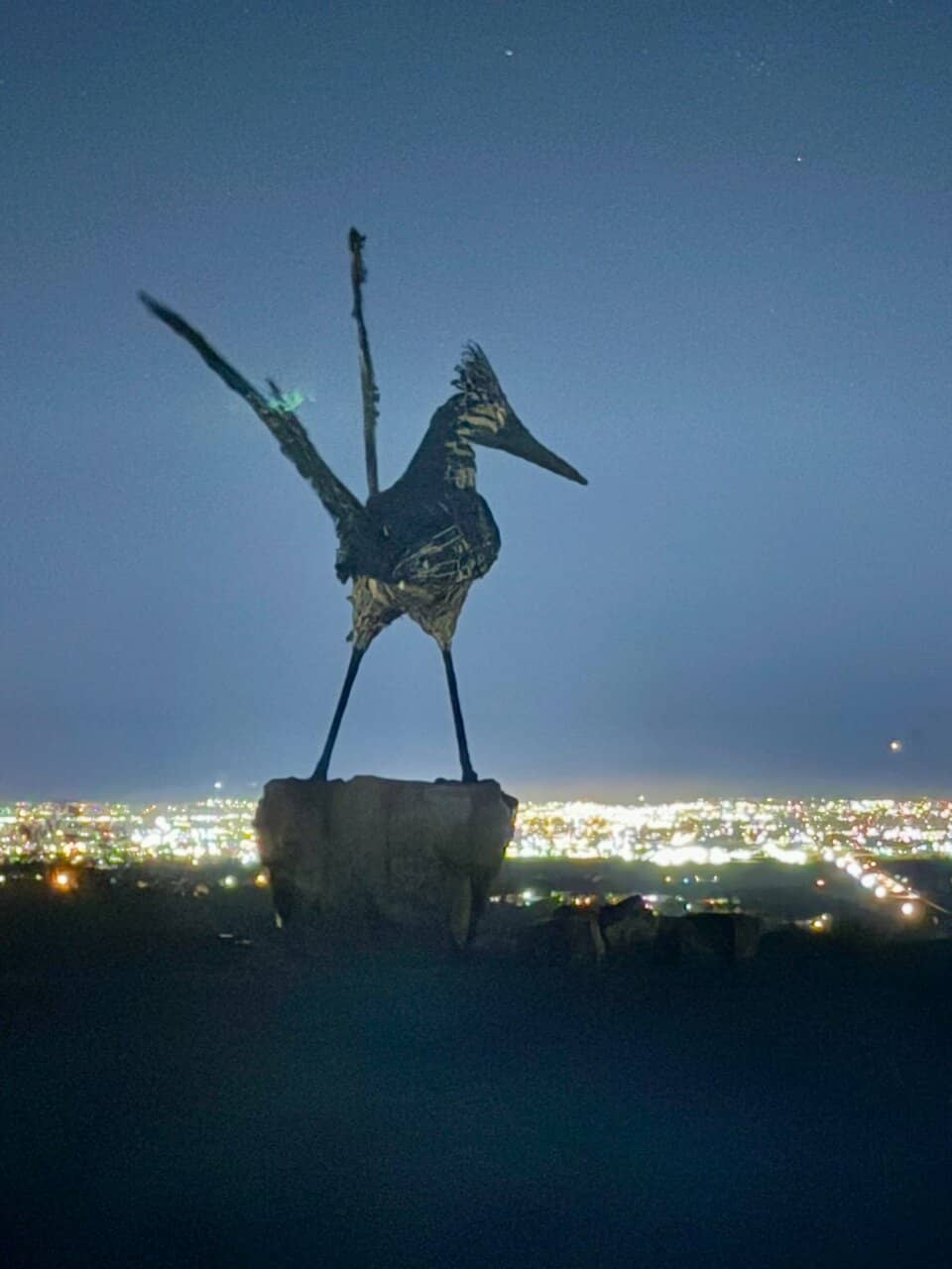 Panoramic Organ Mountain Views